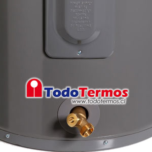 Termo Eléctrico RHEEM 189 Litros 220V al Piso