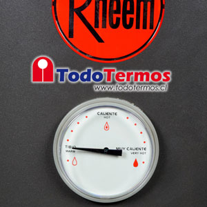 Termo Eléctrico RHEEM 85 Litros 220V al Muro