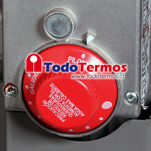 Termo RHEEM Gas al Piso 152 Litros Gas Licuado