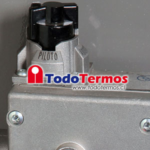 Termo RHEEM Gas al Piso 190 Litros Gas Licuado