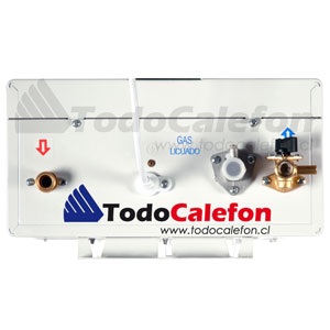 Calefón Splendid Solar Templatech Tiro Balanceado Cámara Estanca 10 Litros Gas Licuado