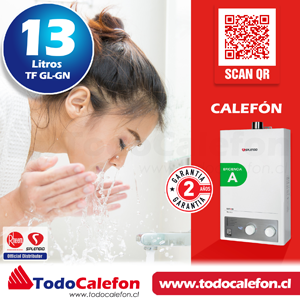 Calefon SPLENDID Tiro Forzado Master 13 Litros Gas Licuado