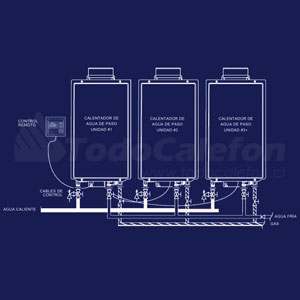 Caldera Mixta Rheem Tiro Forzado Cámara Estanca 18.6 Litros Gas Licuado