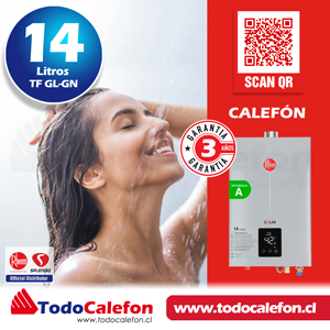 Calefón Rheem Tiro Forzado 14L GL Línea Prestige™