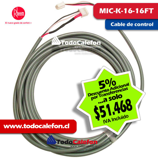 Calefon RHEEM Tiro Forzado 12 Litros Gas Natural