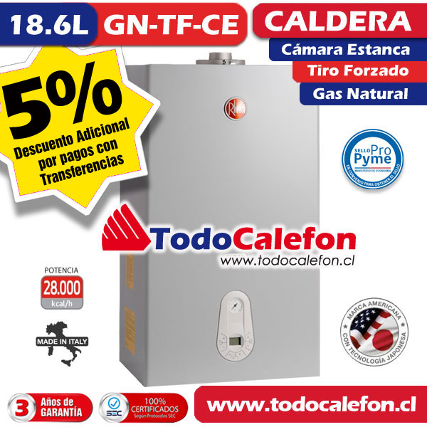 Caldera Mixta Rheem Tiro Forzado 32kw (CE) 18.6L GL