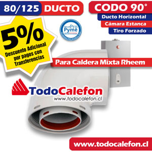 Caldera Mixta Rheem Tiro Forzado Cámara Estanca 18.6 Litros Gas Natural