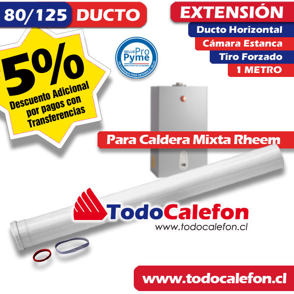 Calefon RHEEM Tiro Forzado 12 Litros Gas Natural