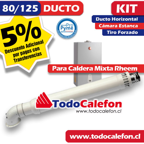 Calefon RHEEM Tiro Forzado 12 Litros Gas Natural