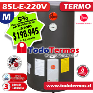 Termo Eléctrico RHEEM 85 Litros 220V al Muro