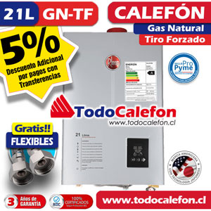 Calefon RHEEM Tiro Forzado 21 Litros Gas Natural